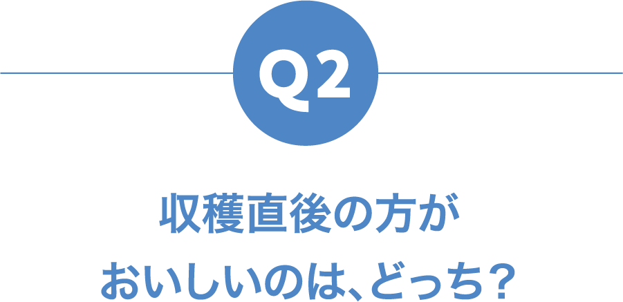 Q2 収穫直後の方がおいしいのは、どっち？